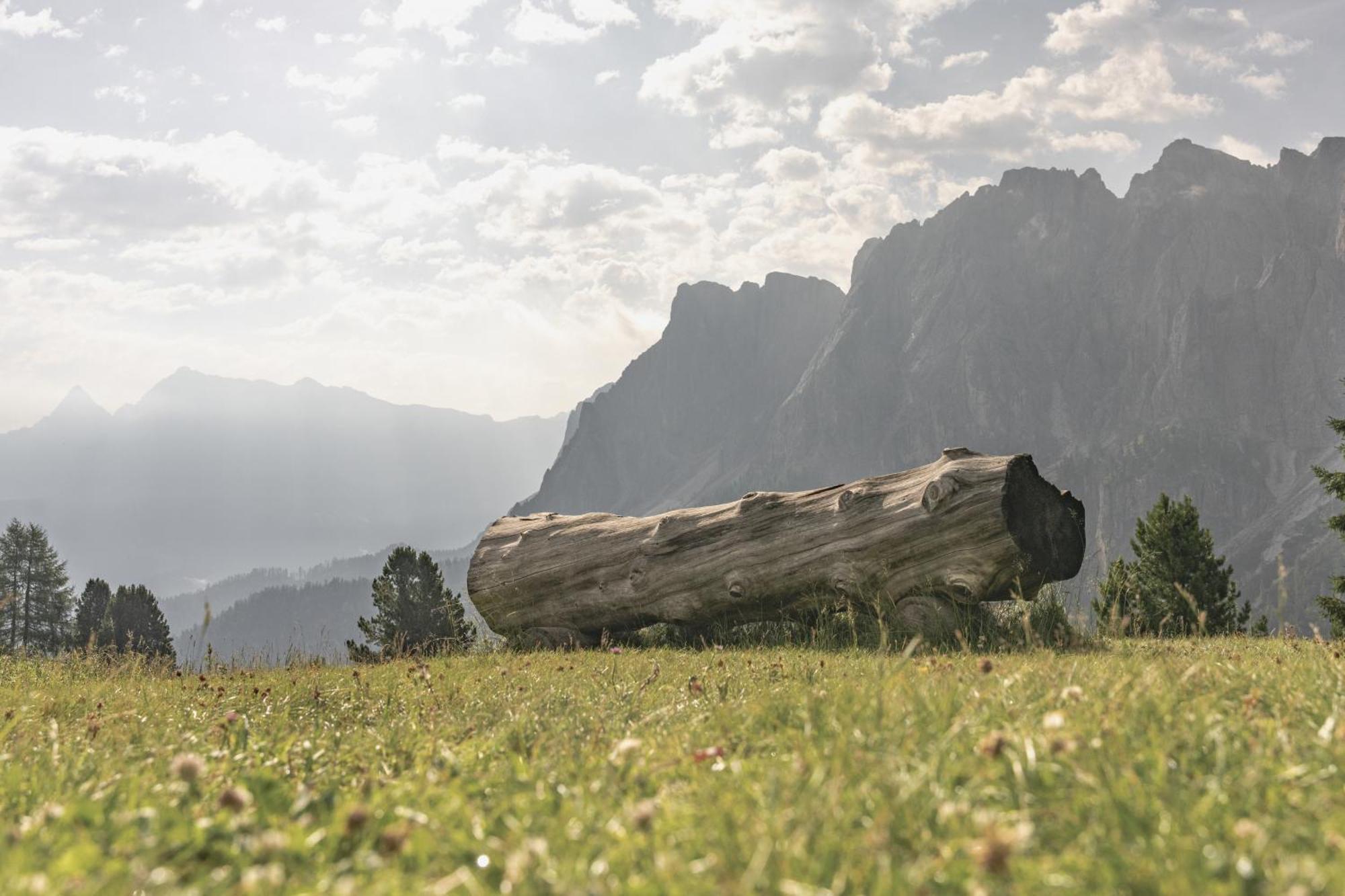 サン・マルティーノ・イン・バディーアCiasa Iachin - Dolomites Dream Retreatアパートメント エクステリア 写真