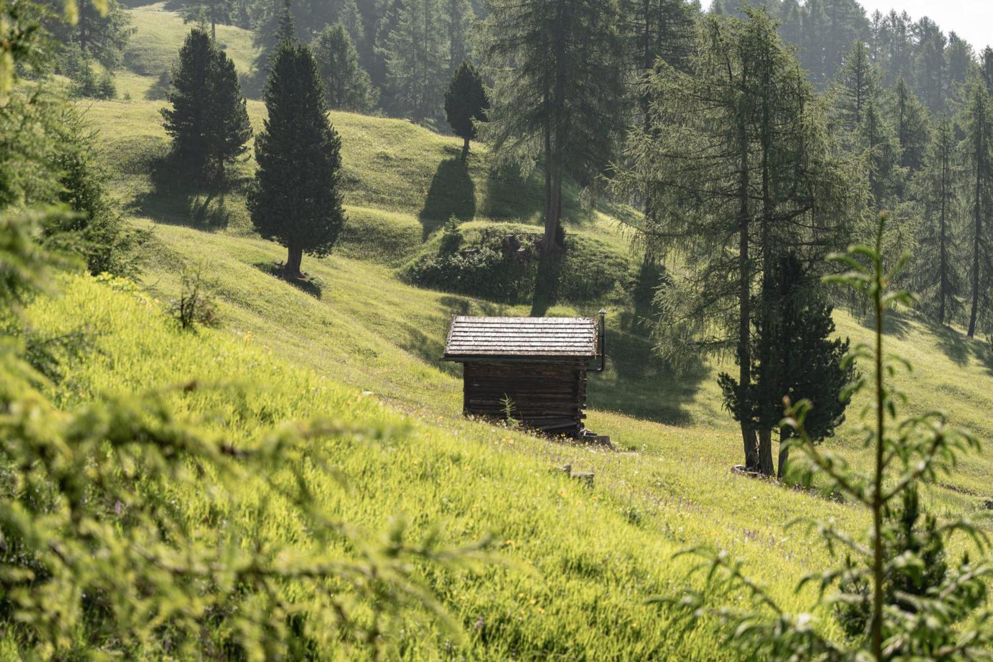 サン・マルティーノ・イン・バディーアCiasa Iachin - Dolomites Dream Retreatアパートメント エクステリア 写真