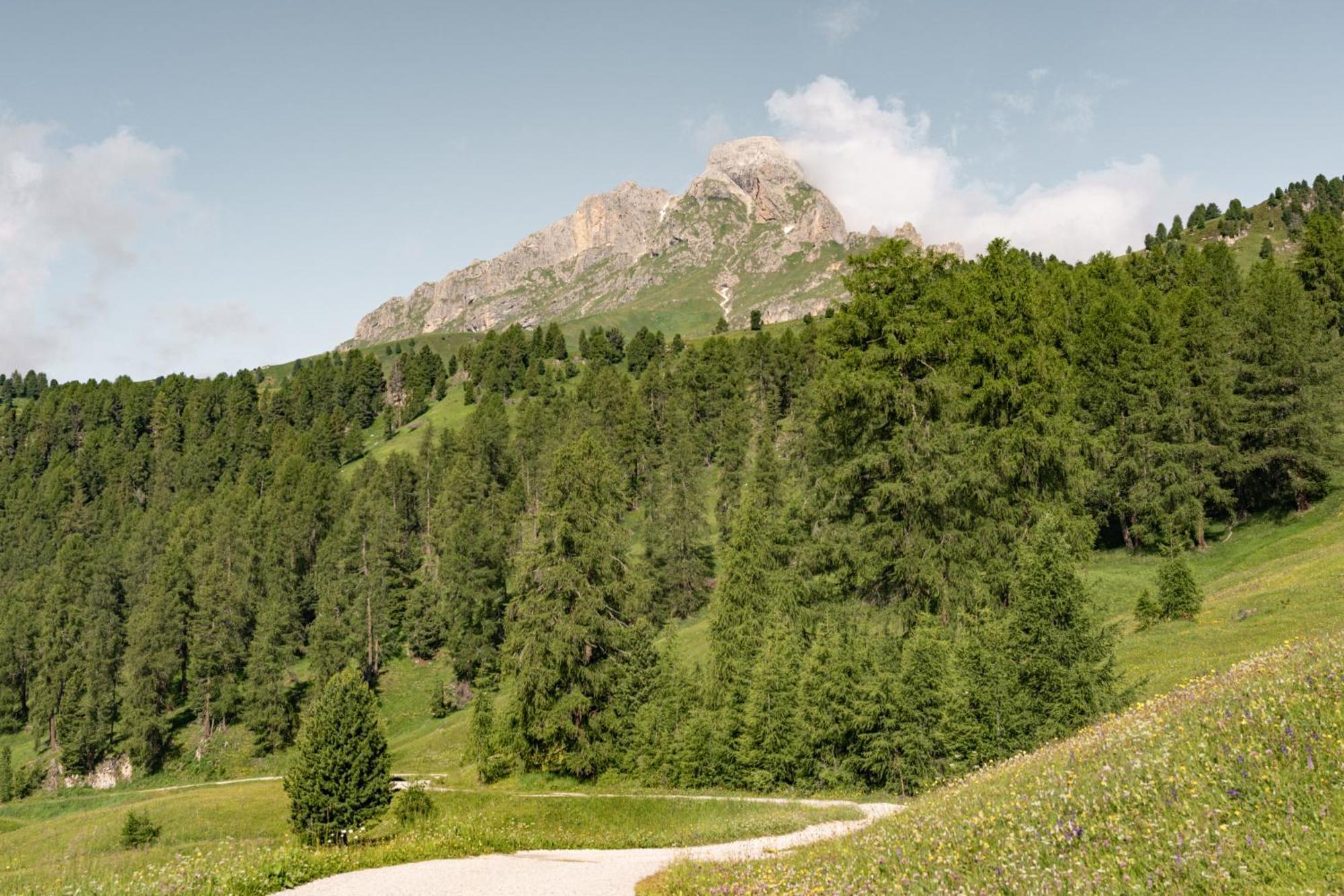 サン・マルティーノ・イン・バディーアCiasa Iachin - Dolomites Dream Retreatアパートメント エクステリア 写真