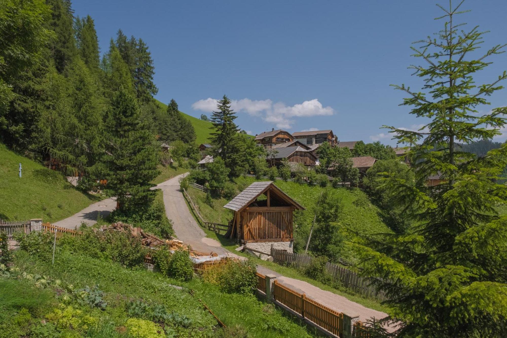 サン・マルティーノ・イン・バディーアCiasa Iachin - Dolomites Dream Retreatアパートメント エクステリア 写真