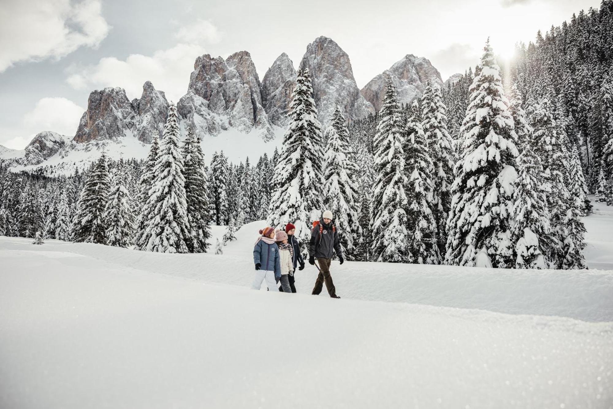 サン・マルティーノ・イン・バディーアCiasa Iachin - Dolomites Dream Retreatアパートメント エクステリア 写真