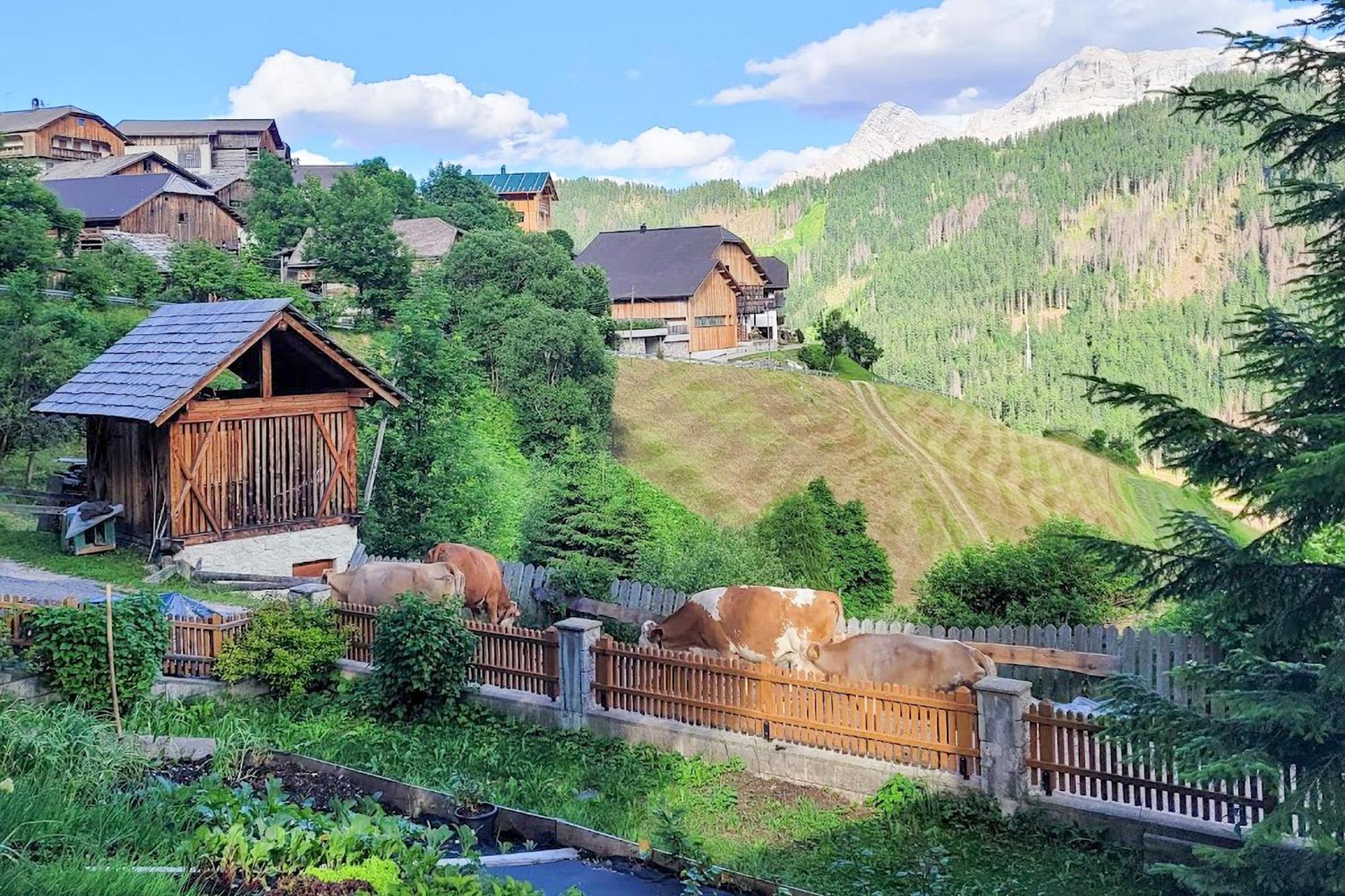 サン・マルティーノ・イン・バディーアCiasa Iachin - Dolomites Dream Retreatアパートメント エクステリア 写真