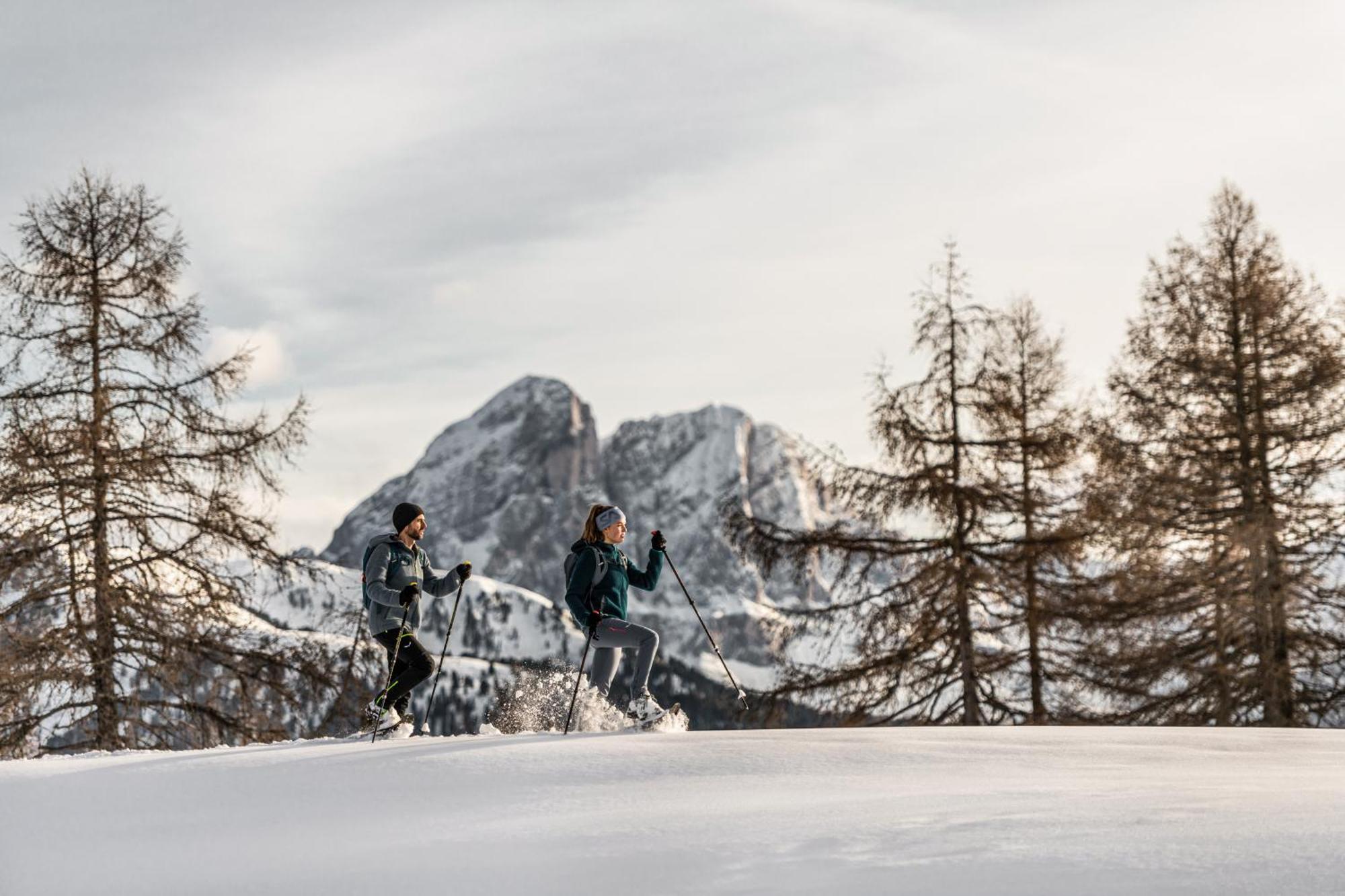 サン・マルティーノ・イン・バディーアCiasa Iachin - Dolomites Dream Retreatアパートメント エクステリア 写真